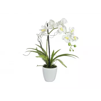EUROPALMS keinotekoinen orkidea-asetelma 1, ruukussa, valkoinen/vaaleanpunainen, 60 cm 82530346
