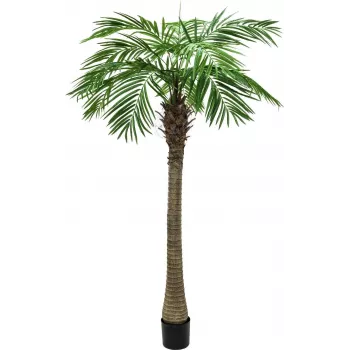 EUROPALMS Luxor keinotekoinen feenikspalmu, 150 cm, vihreä 82510720