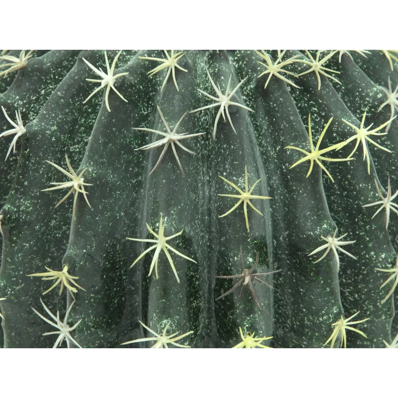 EUROPALMS keinotekoinen pallokaktus, 34 cm 82600063