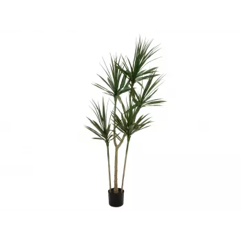 EUROPALMS Dracena tekokasvi, vihreä, 170 cm 82505799
