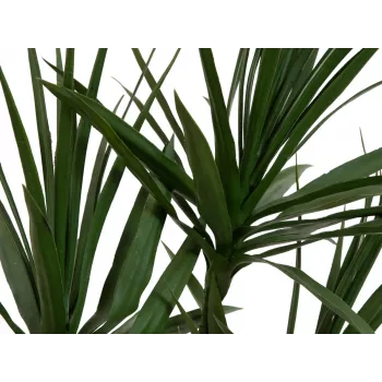 EUROPALMS Dracena tekokasvi, vihreä, 170 cm 82505799