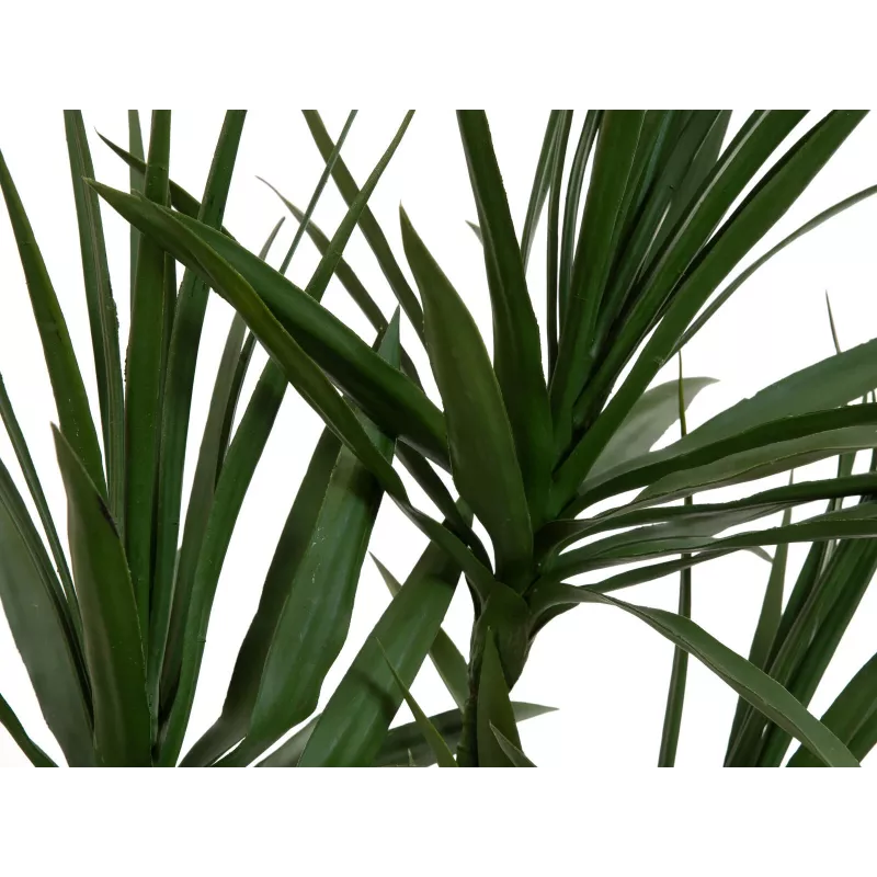 EUROPALMS Dracena tekokasvi, vihreä, 170 cm 82505799