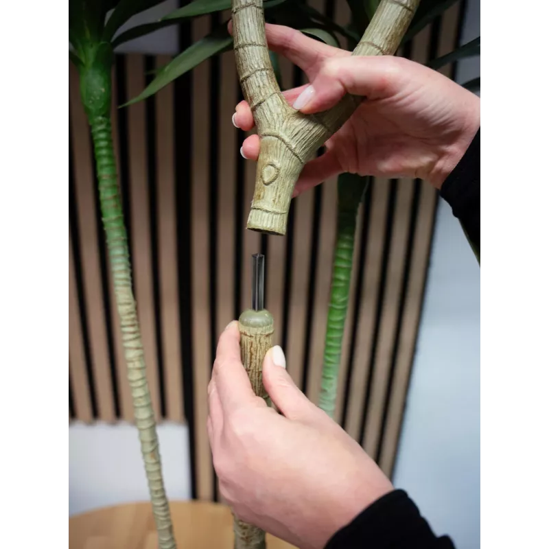 EUROPALMS Dracena tekokasvi, vihreä, 170 cm 82505799
