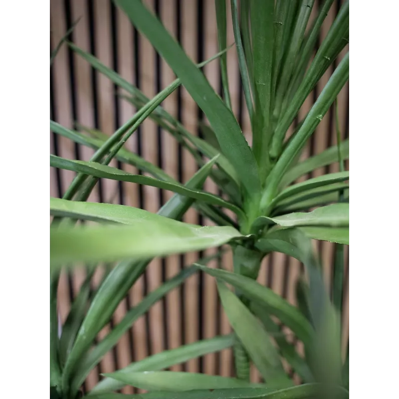 EUROPALMS Dracena tekokasvi, vihreä, 170 cm 82505799