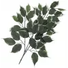 EUROPALMS keinotekoinen fikusoksa, 12 kpl pakkaus 82506100