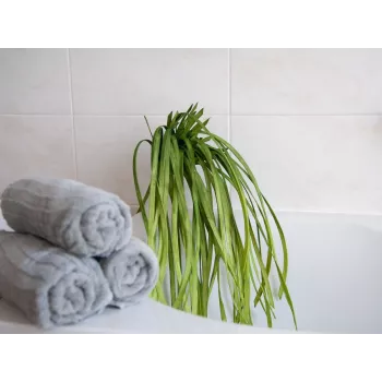 EUROPALMS teko meriajokas (EVA), vihreä 82531062