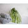 EUROPALMS keinotekoinen meriruoho (EVA), vihreä 82531062