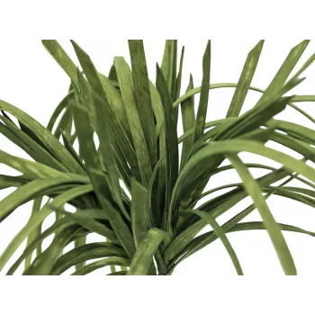 EUROPALMS teko meriajokas (EVA), vihreä 82531062