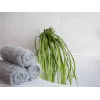 EUROPALMS keinotekoinen meriruoho (EVA), vihreä 82531062