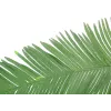 EUROPALMS keinotekoinen kookoksen kuningaspalmun lehdykkä, 180 cm 82509847