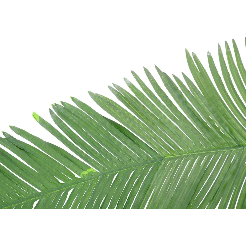 EUROPALMS keinotekoinen kookoksen kuningaspalmun lehdykkä, 180 cm 82509847