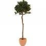 EUROPALMS keinotekoinen laakeripuupallo, 180 cm 82506946
