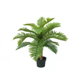 EUROPALMS Cycas-palmu tekokasvi, 70 cm 82509604