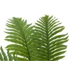 EUROPALMS Cycas-palmu tekokasvi, 70 cm 82509604