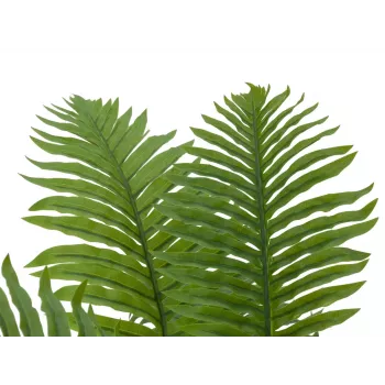 EUROPALMS Cycas-palmu tekokasvi, 70 cm 82509604