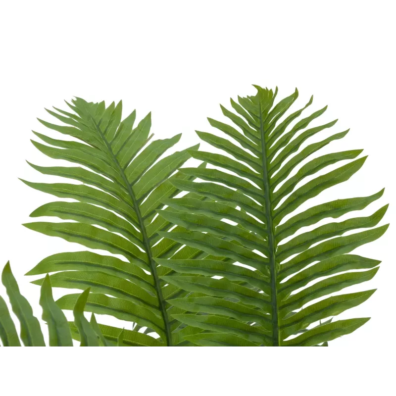 EUROPALMS Cycas-palmu tekokasvi, 70 cm 82509604