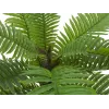 EUROPALMS Cycas-palmu tekokasvi, 70 cm 82509604