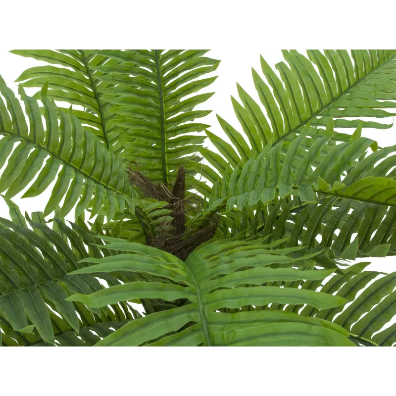 EUROPALMS Cycas-palmu tekokasvi, 70 cm 82509604