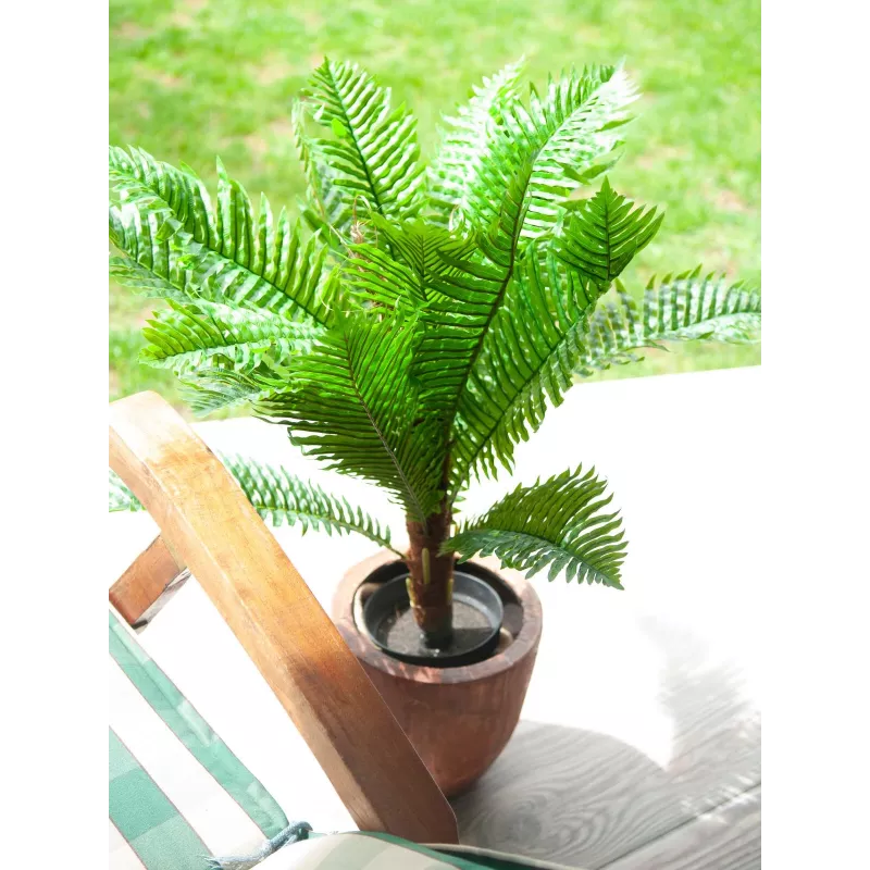 EUROPALMS Cycas-palmu tekokasvi, 70 cm 82509604
