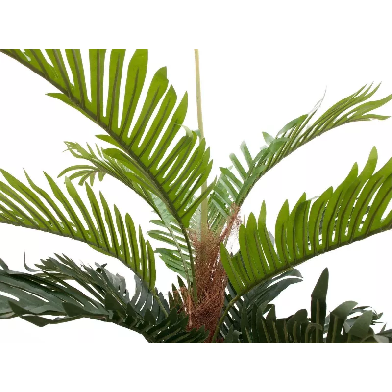EUROPALMS keinotekoinen kentiapalmu, 150 cm 82511366