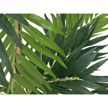 EUROPALMS tekokasvi palmu, 150 cm 82509495
