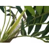 EUROPALMS tekokasvi palmu, 150 cm 82509495