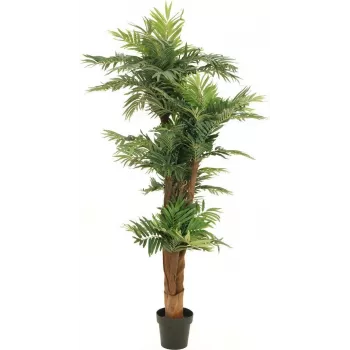 EUROPALMS areekapalmu tekokasvi 170 cm 82509408