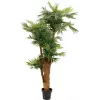 EUROPALMS areekapalmu tekokasvi 170 cm 82509408