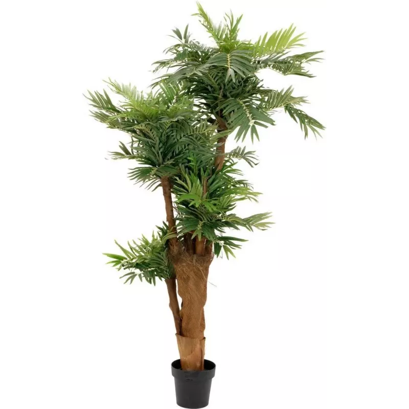 EUROPALMS areekapalmu tekokasvi 170 cm 82509408