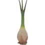 EUROPALMS Phoenix-palmu tekokasvi, 240 cm 82511353