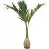EUROPALMS Phoenix-palmu tekokasvi, 240 cm 82511353