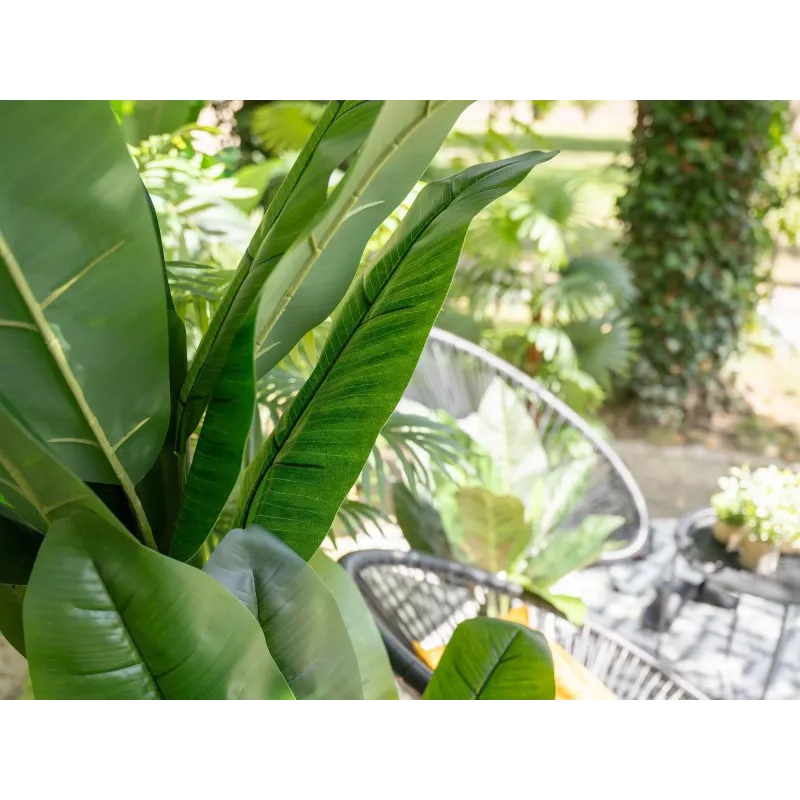 EUROPALMS keinotekoinen banaanipuu, 210 cm 82509507