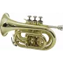 DIMAVERY TP-300 Bb taskutrumpetti, kultalakkaus 26503720