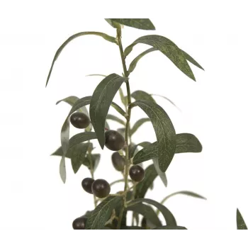EUROPALMS tekopuutarhaöljypuu, 68 cm, vihreät lehdet, musta ruukku 82506421