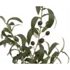 EUROPALMS tekopuutarhaöljypuu, 68 cm, vihreät lehdet, musta ruukku 82506421