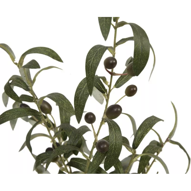 EUROPALMS tekopuutarhaöljypuu, 68 cm, vihreät lehdet, musta ruukku 82506421