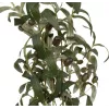 EUROPALMS tekopuutarhaöljypuu, 104 cm 82506423