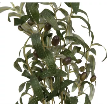 EUROPALMS tekopuutarhaöljypuu, 104 cm 82506423