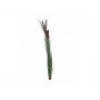 EUROPALMS tekokaisla tähkillä, tummanvihreä, 152 cm 82505854
