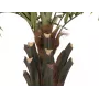EUROPALMS Kentia-palmu Deluxe tekokasvi 300 cm 82511370