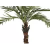 EUROPALMS Kentia-palmu Deluxe tekokasvi 300 cm 82511370