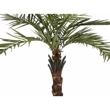 EUROPALMS Kentia-palmu Deluxe tekokasvi 300 cm 82511370