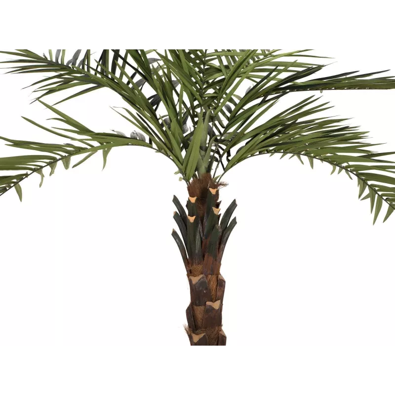 EUROPALMS Kentia-palmu Deluxe tekokasvi 300 cm 82511370