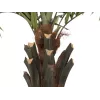 EUROPALMS Kentia-palmu Deluxe tekokasvi 300 cm 82511370