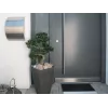 EUROPALMS Bonsai Podocarpus tekokasvi, 80 cm 82600116