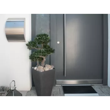 EUROPALMS Bonsai Podocarpus tekokasvi, 80 cm 82600116
