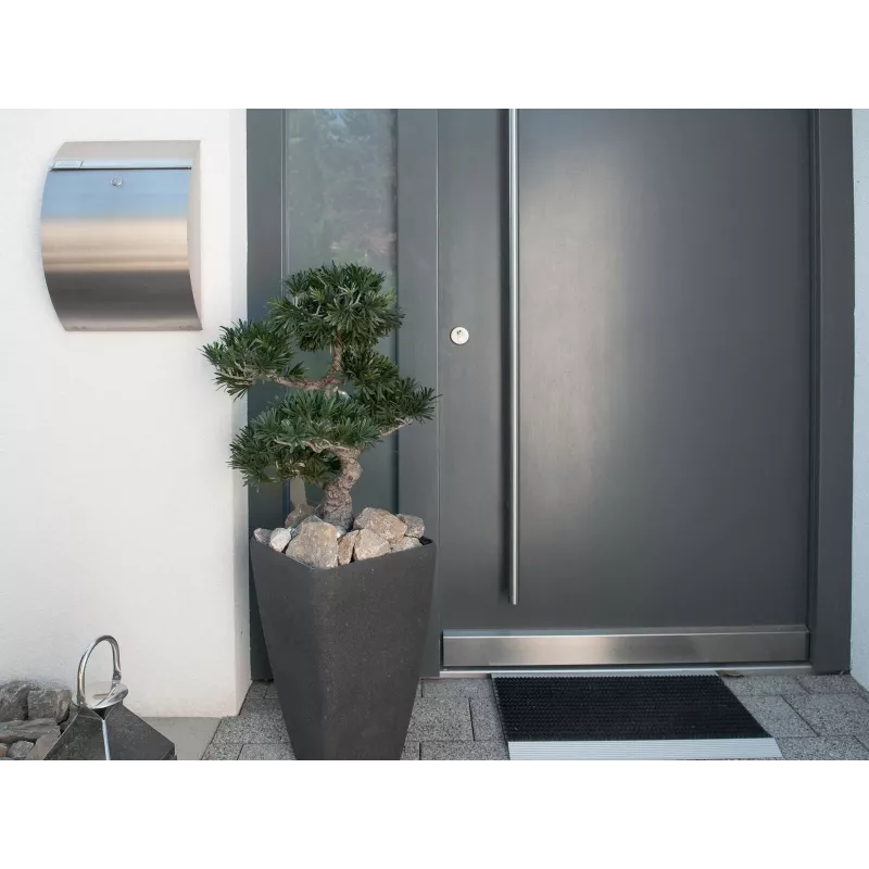 EUROPALMS Bonsai Podocarpus tekokasvi, 80 cm 82600116