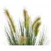 EUROPALMS tekosuokasvi koristeruukussa, 60 cm 82505862
