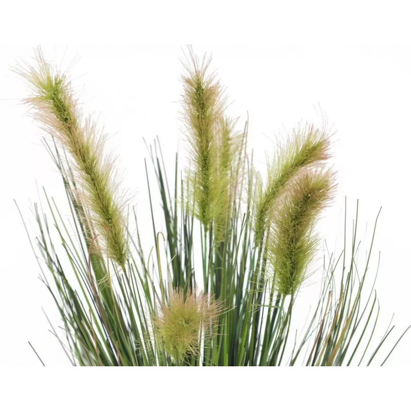 EUROPALMS tekosuokasvi koristeruukussa, 60 cm 82505862