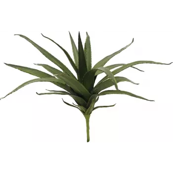 EUROPALMS Aloe (EVA), teko, vihreä, 50 cm (82530570)